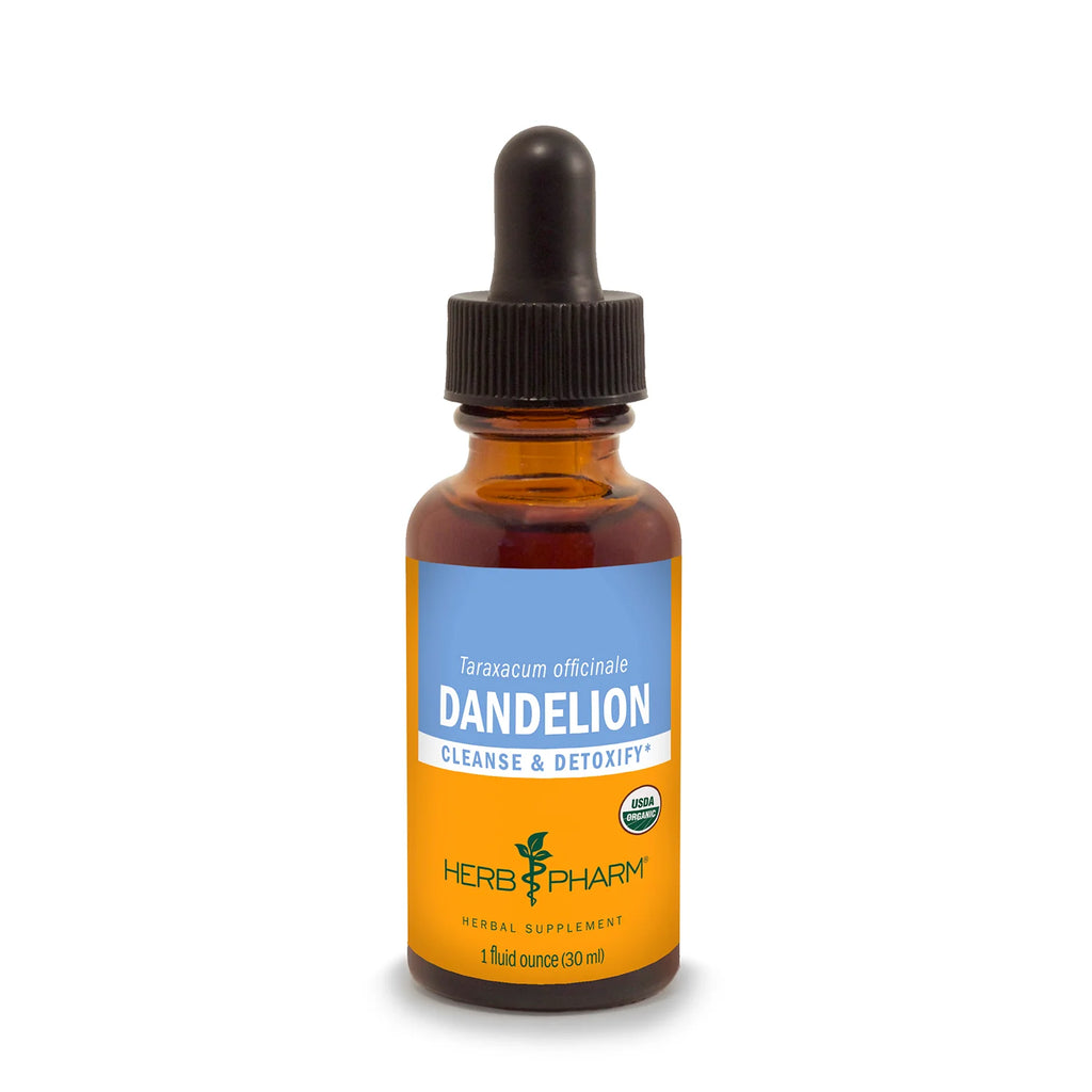Dandelion Extract