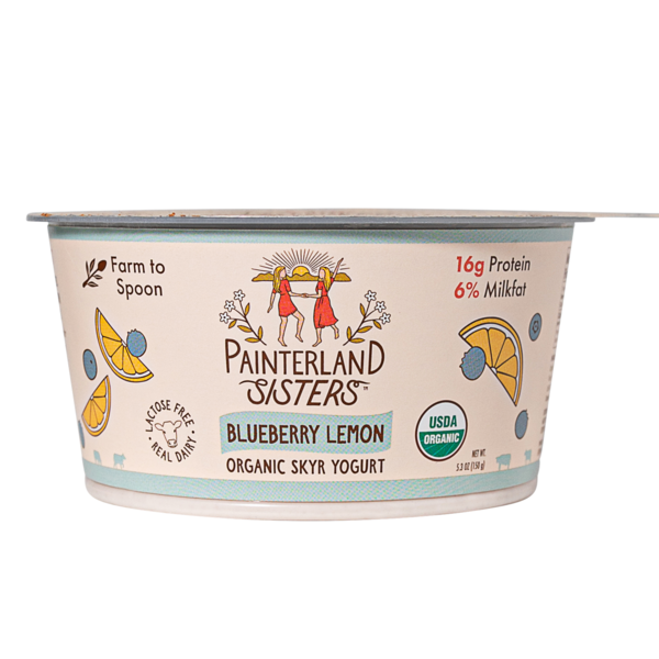 Yogurt Skyr Style Blueberry Lemon